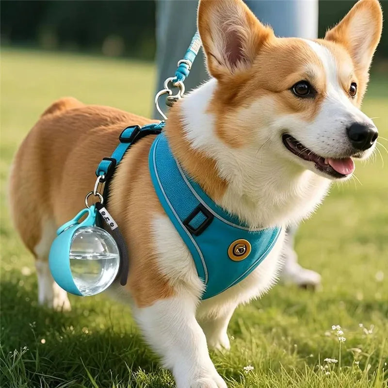 Dog Water Bottle Outdoor Travel Portable Pet Drinking Bowl Hanging Lanyard Puppy Walking Anti-leak Water Feeder Bowl
